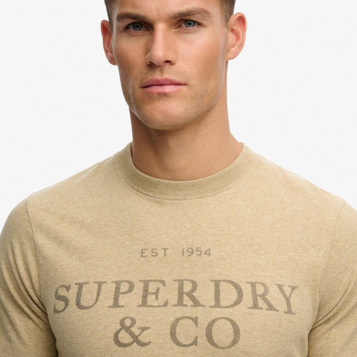 SUPERDRY 1954 COMPANY RELAXED T-SHIRT BEIGE MARL 1WY