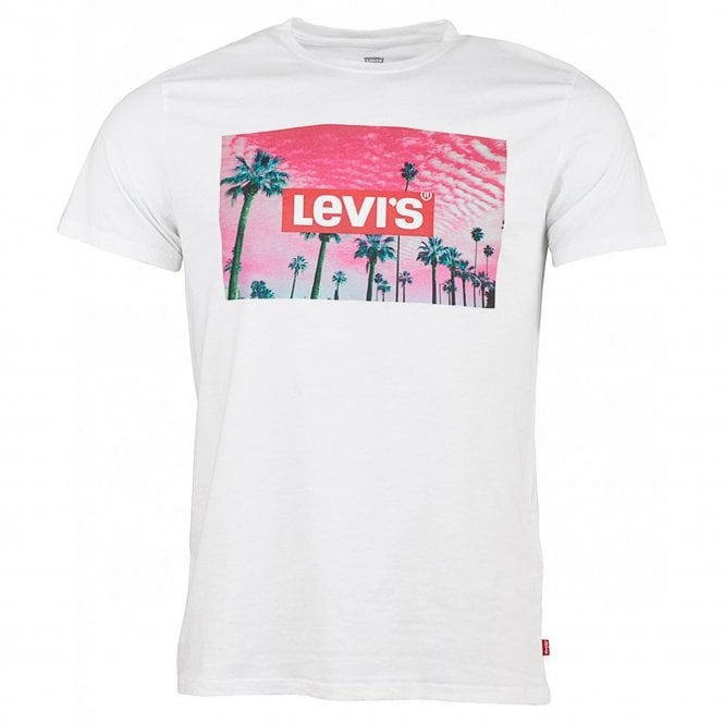 Levis Graphic Set In White Crew Neck T Shirt 22491 0490 From Club Jj Uk 